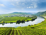 Avalon Waterways: Lussemburgo e Germania, suggestioni di fine estate